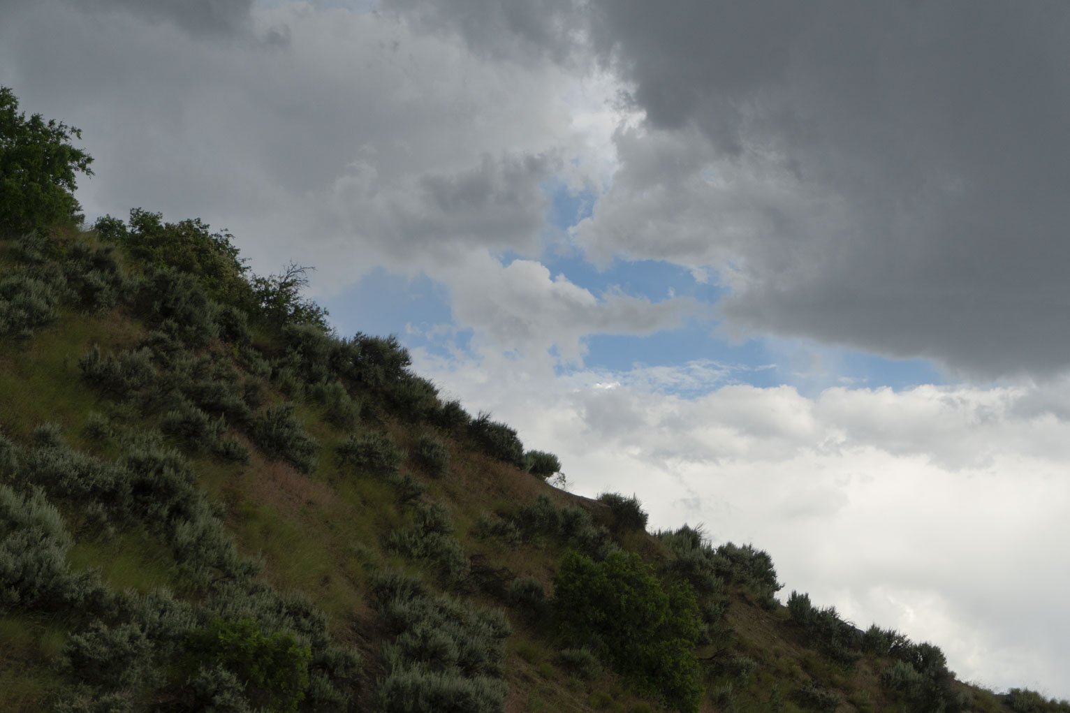 Green sagebrush mountainside contrasts darkly with white clouds that have a cloud shaped blue sky gap